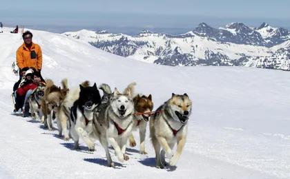 Full-day tour to Glacier 3000 and Montreux from Geneva