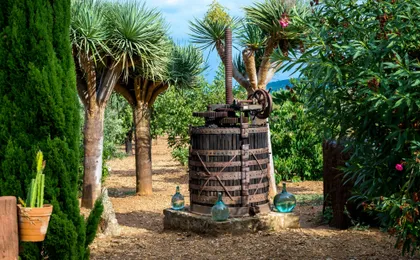 Majorca winery visit with wine and local food tasting