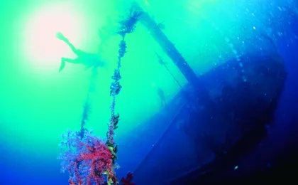 Coral viewing glass bottom-boat tour in Aqaba with open buffet