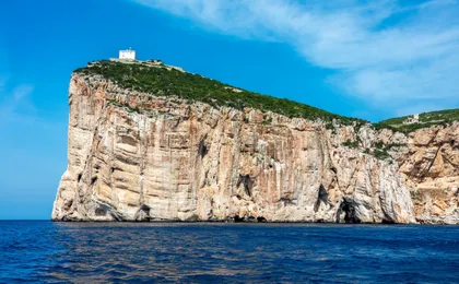 Sardinia Dolphin Watching Boat Cruise