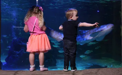 Sea life Blackpool entrance tickets