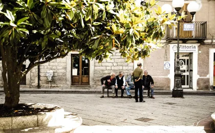 Discover Wonderful Gallura with Lunch