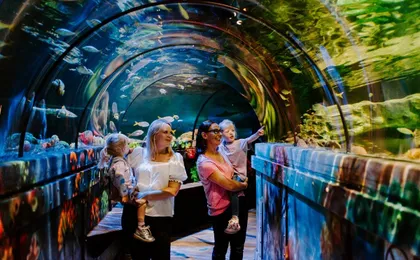 Sea Life Brighton entrance tickets