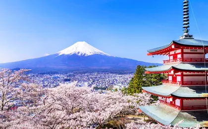 1-day tour to Mount Fuji, Oshino Hakkai with outlets or hot springs
