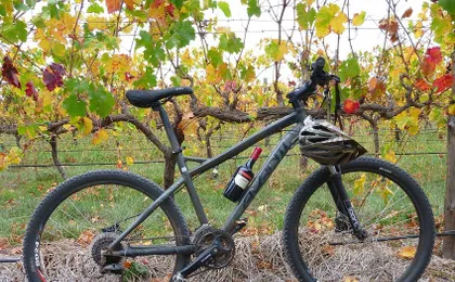 Full-day McLaren Vale bike and wine tour