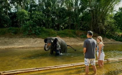 Full-day Khao Sok tour with elephant sanctuary and bamboo rafting