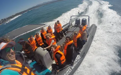 Seal viewing tour in Plettenberg Bay