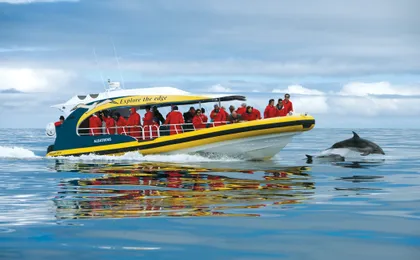 Tasman Island Cruises full day tour from Hobart with Devil Park visit