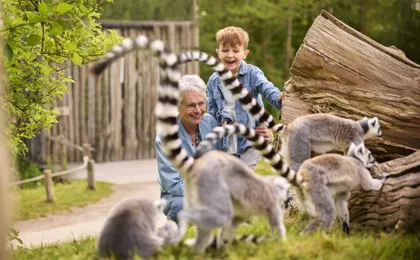 Entry ticket to the AquaZoo wildlife park in Leeuwarden