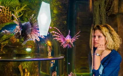 Entrance tickets to Timmendorfer Sea Life aquarium