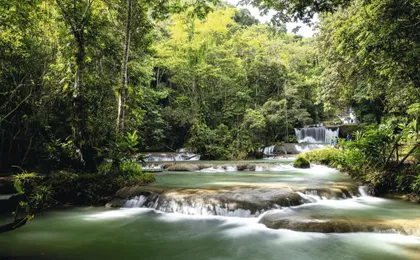 Black River and YS Falls Tour