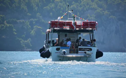 Blue Grotto Boat Cruise