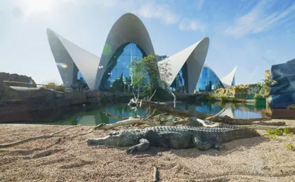 Oceanografic entrance tickets