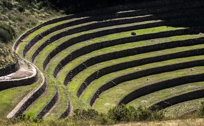 Half-Day Private Tour to Moray and Maras' Terraces and Salt Mines