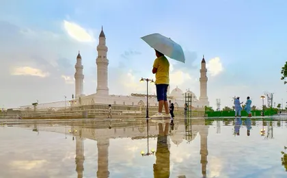 Madinah guided tour without lunch