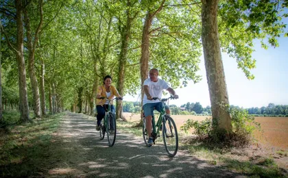 Loire Valley e-bike tour with Chateau de Cheverny and wine tasting