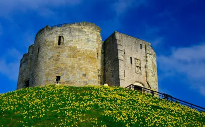 Best of York small group walking tour