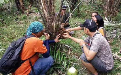 Bali 4x4 Sunrise Safari & Salak Farming Experience