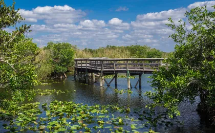 Everglades National Park Self-Guided Driving Audio Tour
