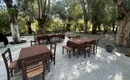 Mountain villages with lunch and honey-tasting from Ayia Napa and Protaras