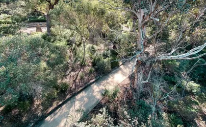 Guided Hike of the highlights of Kings Park