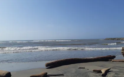 Kilymandiaro beach visit with a traditional lunch