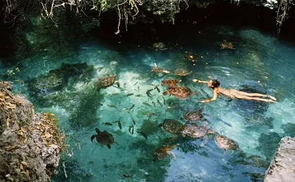 Mnemba Island, Nungwi Village & Sea Turtle Experience