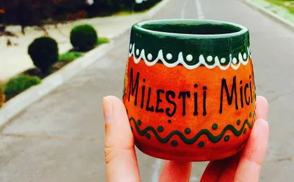 Wine Tour to Milesti Mici Winery with Tasting