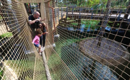 Miami Zoo tickets with transportation