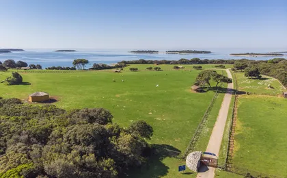 Brijuni National Park Cruise from Pula with Lunch, Drinks and Swimming