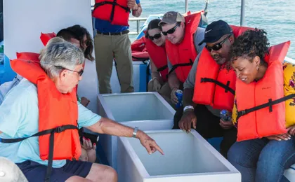 Cabo San Lucas Glass-Bottom boat cruise without transfer