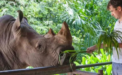 Miami Zoo tickets with transportation