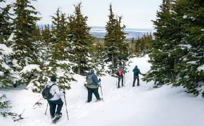 Beginners snowshoeing adventure in Anchorage