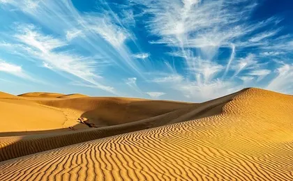 Self Guided Bikaner City Tour With Drop Off at Jaisalmer