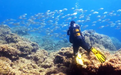 Scuba Diving Rhodes