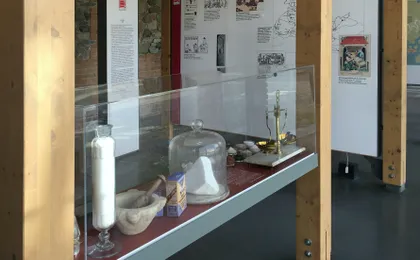Tickets to the Parma Ham Museum in Langhirano