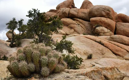 Joshua Tree's Hidden Valley self-guided walking audio tour