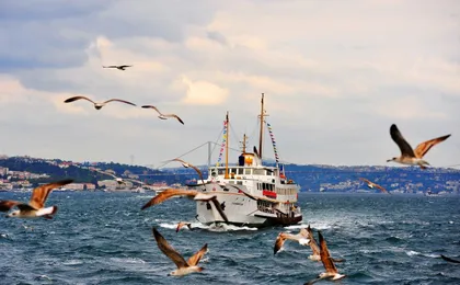 Turkey Istanbul One Day Group Tour with Experienced Guide Line B