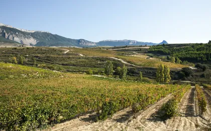 Tour to two wineries in La Rioja from Pamplona
