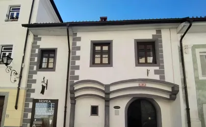 Half-day alpine escape to Lake Bled and Radovljica from Trieste