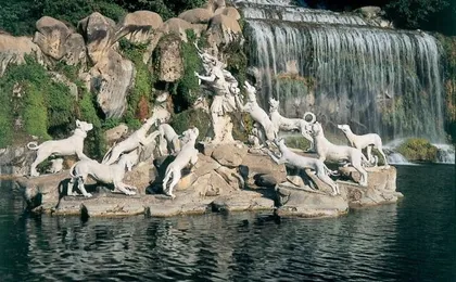 Entrance ticket to the Royal Palace of Caserta