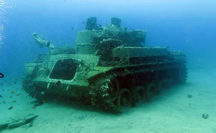 Half-Day Aqaba Glass Bottom Boat Tour – See Stunning Coral Reefs