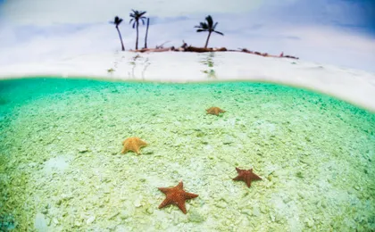 Day Tour in San Blas Islands - All Included - Visit 4 Islands in 1 Day GYG