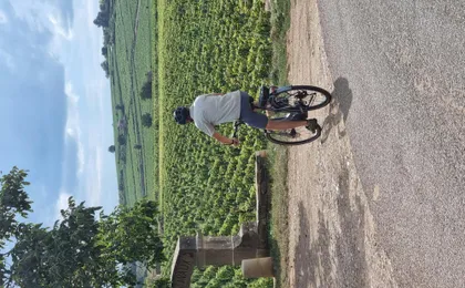 Bike and wine day tour in Burgundy's Côte de Beaune