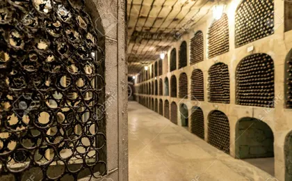 Wine Tour to Milesti Mici Winery with Tasting