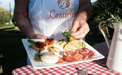 Market tour and dining experience at a Cesarina's home in Lucca