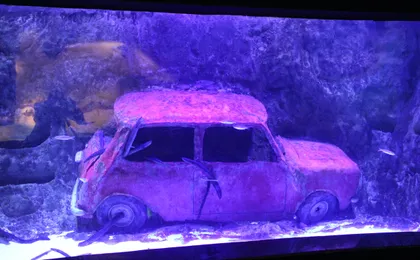 Antalya Aquarium with Shuttle