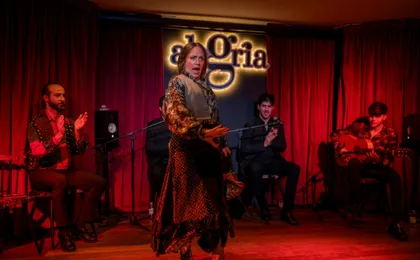 1-hour flamenco show at Malaga's Alegría