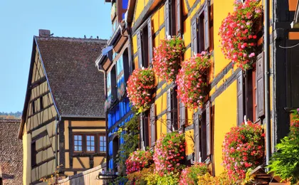 Alsace full-day shared wine tour from Colmar