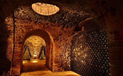 Cellar visit at Boizel Champagne House with Joyau tasting
